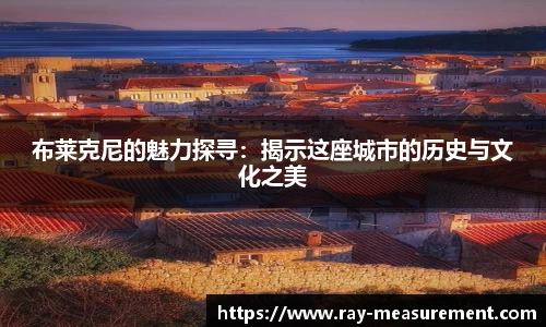 布莱克尼的魅力探寻：揭示这座城市的历史与文化之美