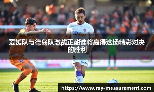爱媛队与德岛队激战正酣谁将赢得这场精彩对决的胜利