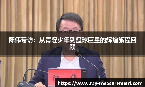 陈伟专访：从青涩少年到篮球巨星的辉煌旅程回顾